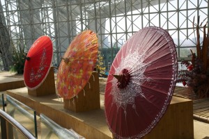 parasols, Qingdao Horticultural Expo